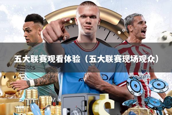 五大联赛观看体验（五大联赛现场观众）